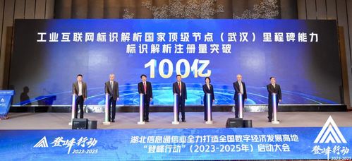 工業互聯網標識解析國家頂級節點 武漢 標識注冊量突破100億