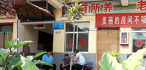 養(yǎng)老院十五年忽思?xì)w，子女驚愕方知亡母已逝廿八載